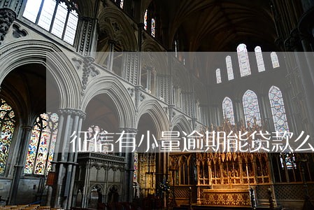 征信有小量逾期能贷款么 征信有小量逾期能贷款么