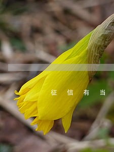 征信有当前逾期还能贷款吗 征信有当前逾期还能贷款吗