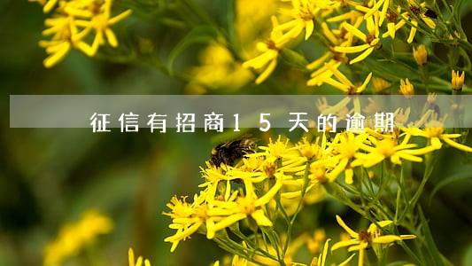 征信有招商15天的逾期 征信有招商15天的逾期