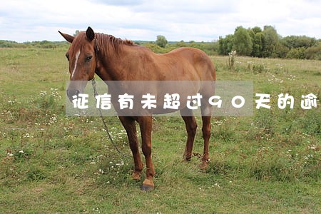 征信有未超过90天的逾期 征信有未超过90天的逾期