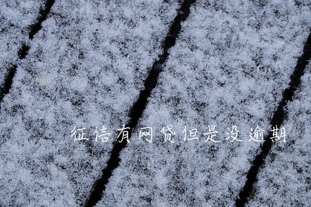 征信有网贷但是没逾期 征信有网贷但是没逾期