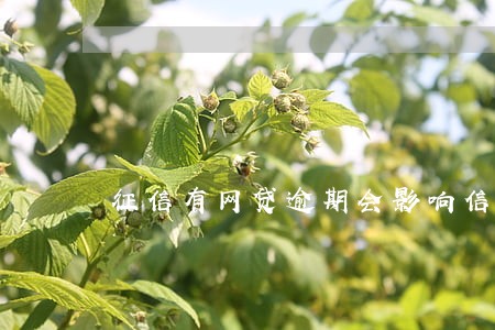 征信有网贷逾期会影响信用卡 征信有网贷逾期会影响信用卡