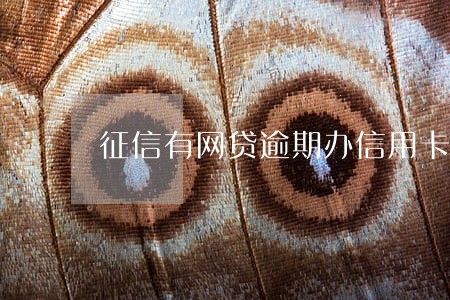 征信有网贷逾期办信用卡吗 征信有网贷逾期办信用卡吗