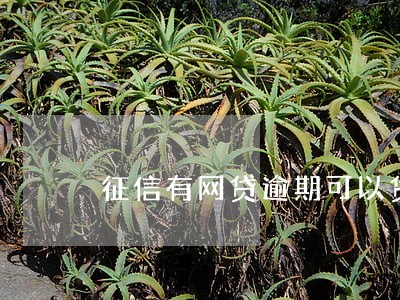 征信有网贷逾期可以贷款吗
