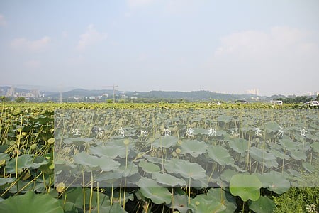 征信有网贷逾期记录房贷 征信有网贷逾期记录房贷