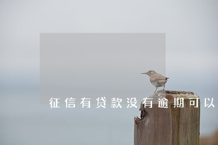 征信有贷款没有逾期可以贷款 征信有贷款没有逾期可以贷款