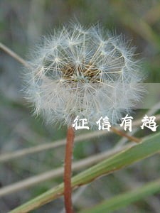 征信有超过100天的逾期记录 征信有超过100天的逾期记录