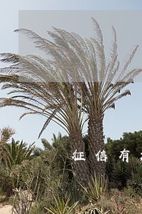 征信有超过90天逾期记录 征信有超过90天逾期记录