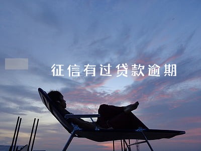 征信有过贷款逾期 征信有过贷款逾期