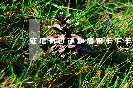 征信有过逾期信用卡下卡难 征信有过逾期信用卡下卡难