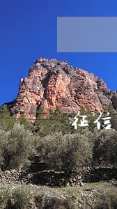 征信有过逾期可以借什么网贷 征信有过逾期可以借什么网贷