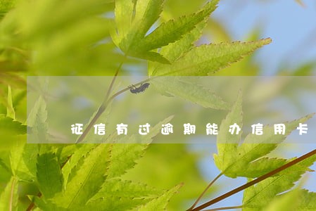征信有过逾期能办信用卡 征信有过逾期能办信用卡