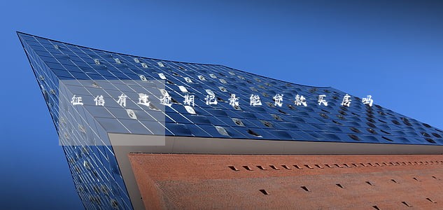 征信有过逾期记录能贷款买房吗 征信有过逾期记录能贷款买房吗