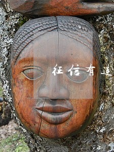 征信有连续17次逾期 征信有连续17次逾期