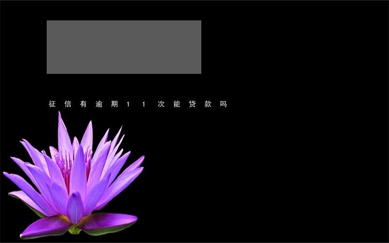 征信有逾期11次能贷款吗