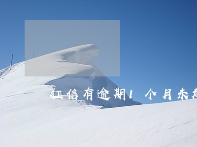征信有逾期1个月未超过90天 征信有逾期1个月未超过90天