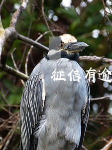 征信有逾期1次可以贷款买房吗 征信有逾期1次可以贷款买房吗