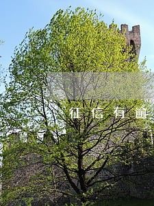 征信有逾期1次还能做担保人吗 征信有逾期1次还能做担保人吗