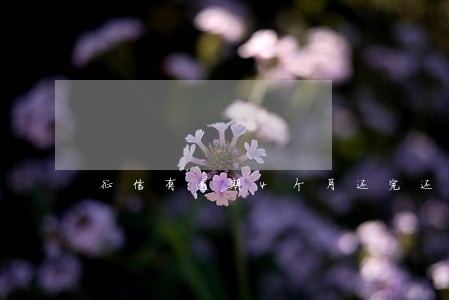 征信有逾期4个月还完还能买房吗 征信有逾期4个月还完还能买房吗