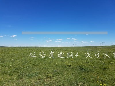 征信有逾期4次可以贷款买房吗 征信有逾期4次可以贷款买房吗