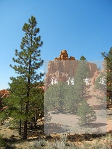 征信有逾期60天记录怎么办 征信有逾期60天记录怎么办