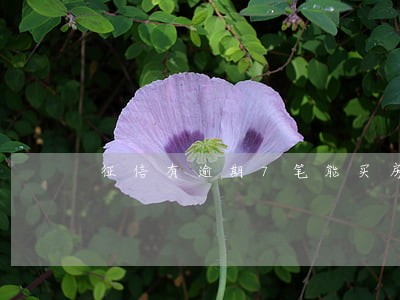 征信有逾期7笔能买房贷款吗 征信有逾期7笔能买房贷款吗