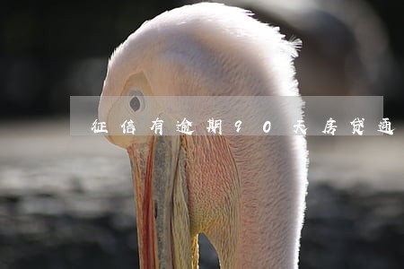 征信有逾期90天房贷通过了 征信有逾期90天房贷通过了