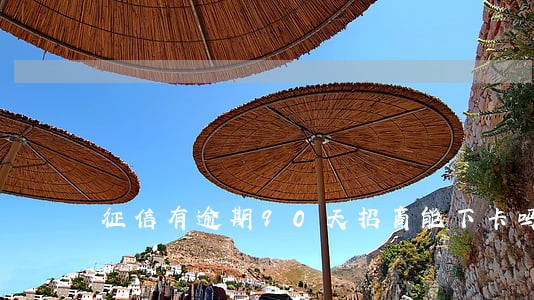 征信有逾期90天招商能下卡吗 征信有逾期90天招商能下卡吗