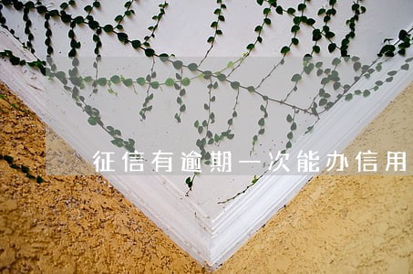 征信有逾期一次能办信用卡