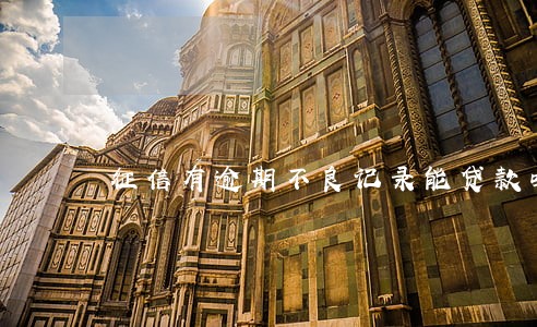 征信有逾期不良记录能贷款吗 征信有逾期不良记录能贷款吗