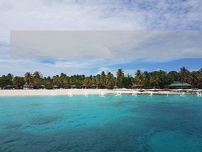征信有逾期两年了还能办信用卡吗 征信有逾期两年了还能办信用卡吗