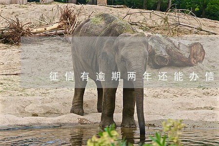征信有逾期两年还能办信用卡吗 征信有逾期两年还能办信用卡吗