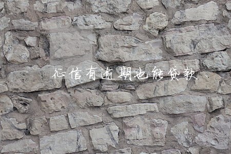 征信有逾期也能贷款 征信有逾期也能贷款