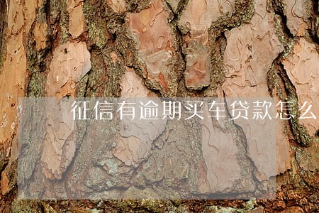征信有逾期买车贷款怎么办 征信有逾期买车贷款怎么办