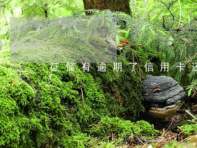 征信有逾期了信用卡还能恢复吗 征信有逾期了信用卡还能恢复吗