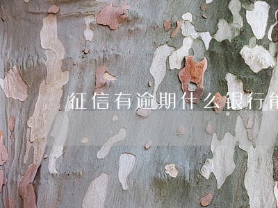 征信有逾期什么银行能贷款 征信有逾期什么银行能贷款