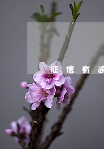 征信有逾期会影响办理信用卡吗