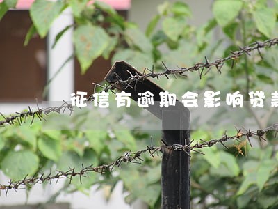 征信有逾期会影响贷款 征信有逾期会影响贷款