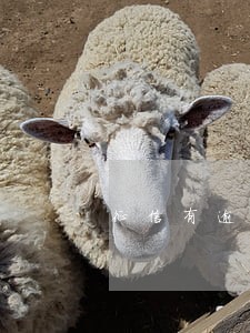 征信有逾期会影响贷款吗 征信有逾期会影响贷款吗