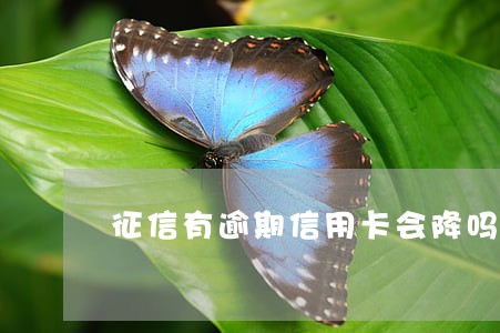 征信有逾期信用卡会降吗