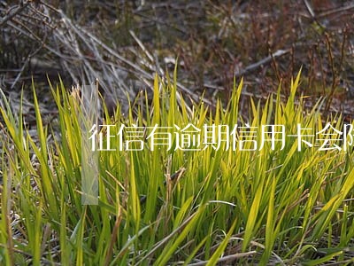 征信有逾期信用卡会降额度嘛 征信有逾期信用卡会降额度嘛