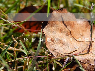 征信有逾期信用卡提额 征信有逾期信用卡提额