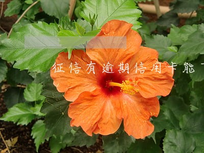 征信有逾期信用卡能下来吗