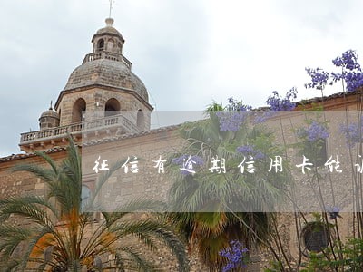 征信有逾期信用卡能调额吗 征信有逾期信用卡能调额吗