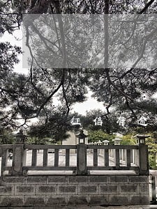 征信有逾期信用卡要求面签 征信有逾期信用卡要求面签