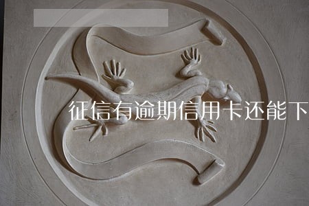 征信有逾期信用卡还能下吗 征信有逾期信用卡还能下吗