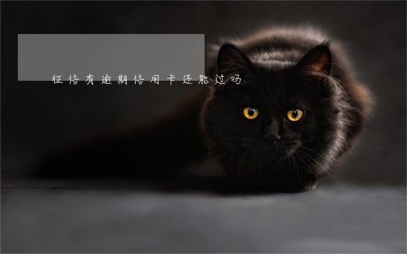 征信有逾期信用卡还能过吗 征信有逾期信用卡还能过吗
