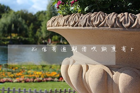 征信有逾期借呗额度有5万 征信有逾期借呗额度有5万