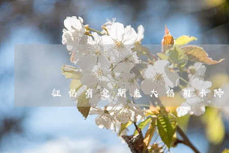 征信有逾期光大信用卡降额 征信有逾期光大信用卡降额