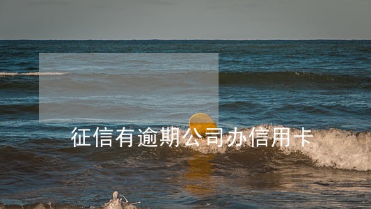 征信有逾期公司办信用卡